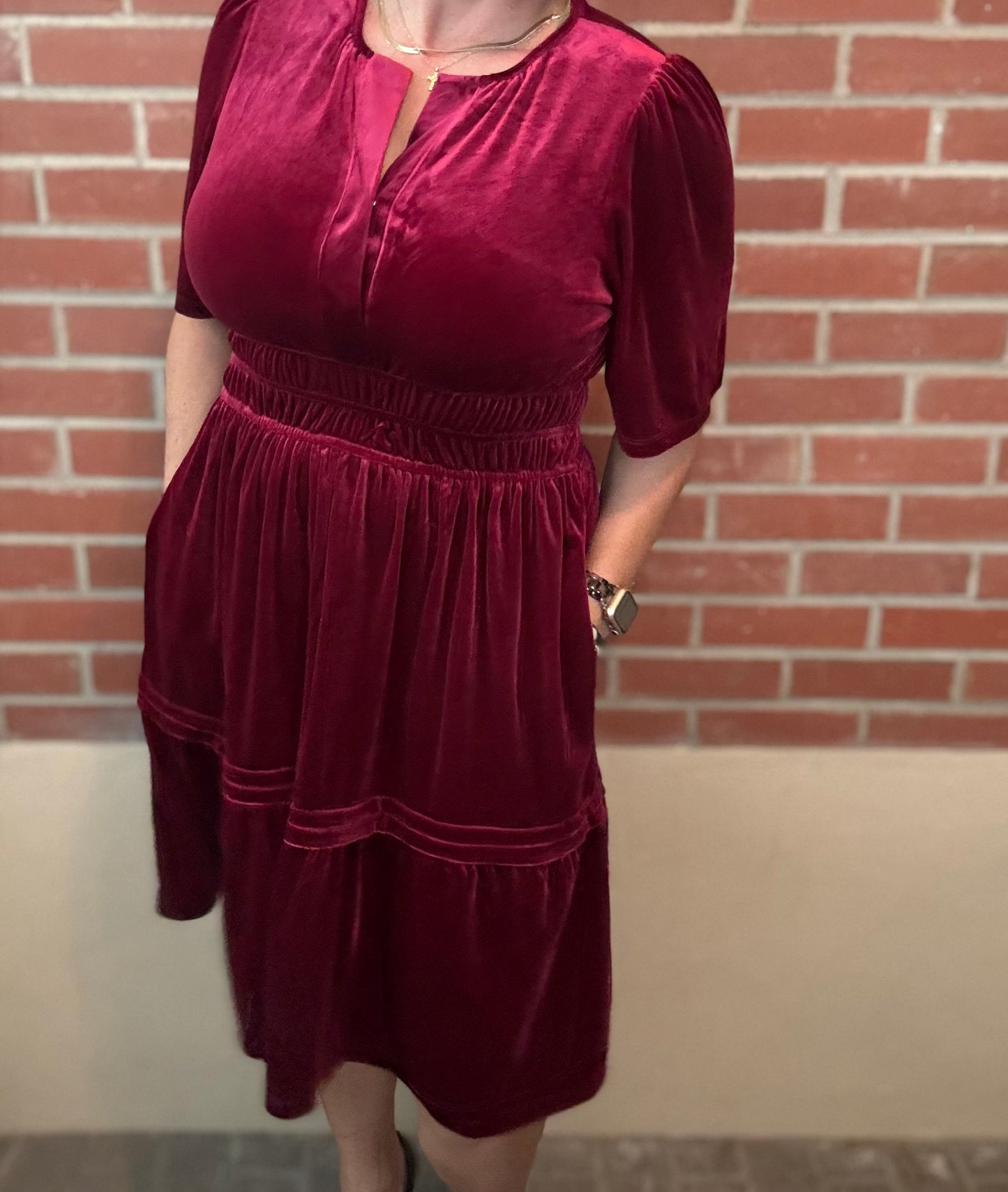 Half Bell Velvet Dress