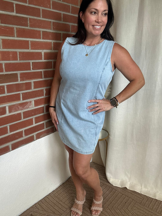 Dahlia Denim Dress