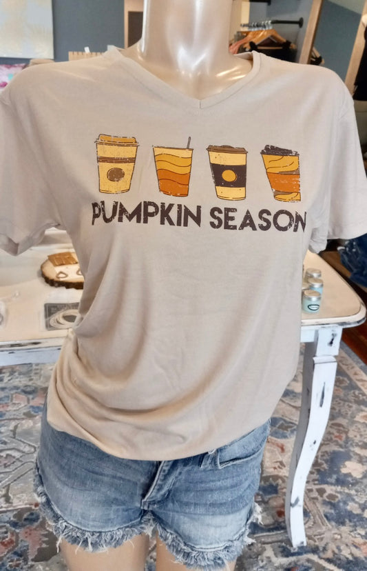 Pumpkin Season T-Shirt - Small