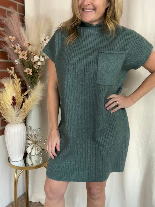 Ash Jade Sweater Dress