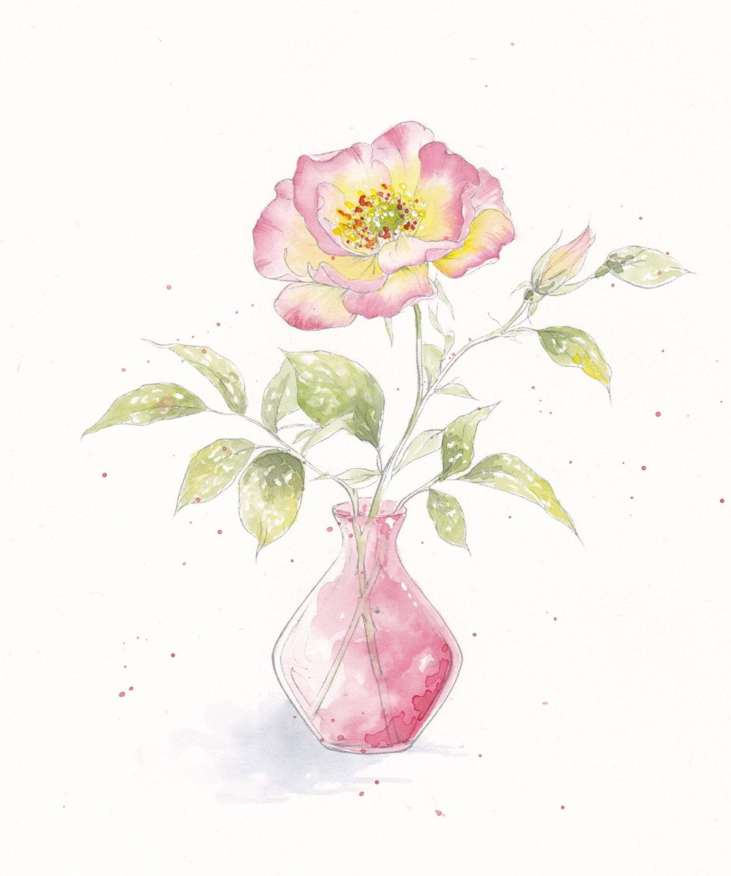 Blooms & Bouquets Watercolor Workbook