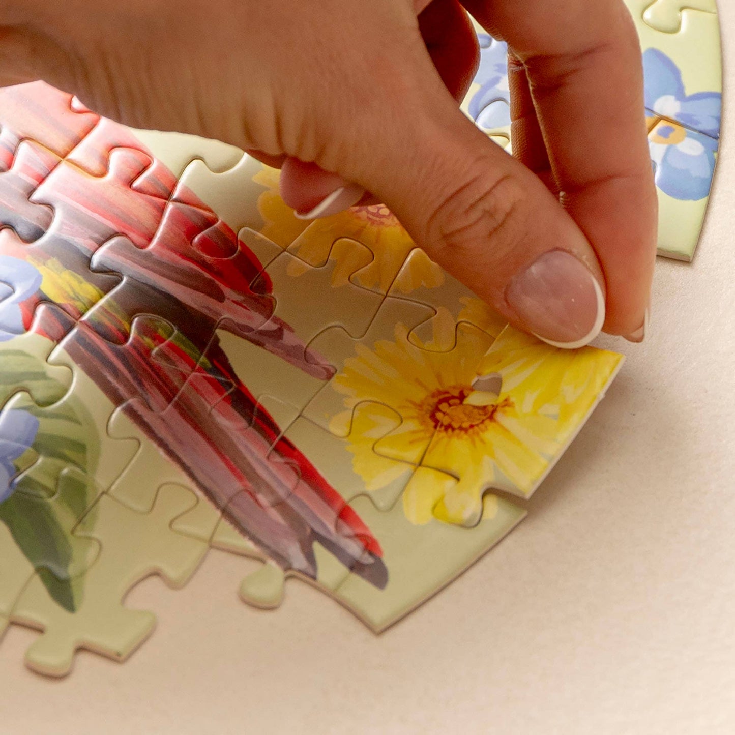 Feathered Friends - 100 Piece Birds Jigsaw Puzzles Set of 3